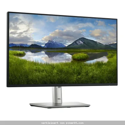 DELL P2425H Office Monitor IPS, 61,13 cm (24,07 Zoll), LED, 1x HDMI, 1x DP, 1x VGA, USB-Hub