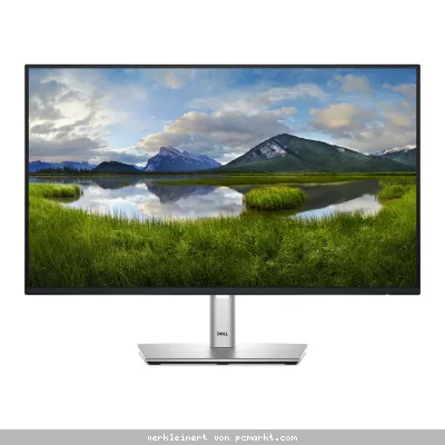 DELL P2425HE Office Monitor IPS-Panel, 61,13 cm (24,07 Zoll), LED, 1x HDMI, 2x DP, 1x LAN, USB-Hub