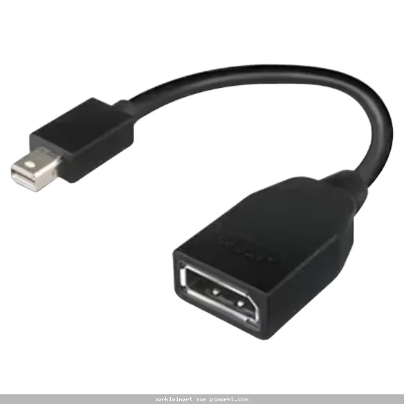 Lenovo Mini-DisplayPort (M) auf DisplayPort (F) | Adapter