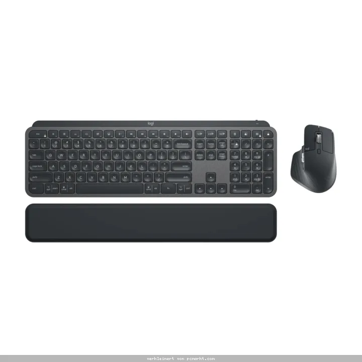 Logitech MX Keys Combo for Business Gen 2 Graphite hinterleuchtet, kabellos, Bluetooth LE, QWERTZ