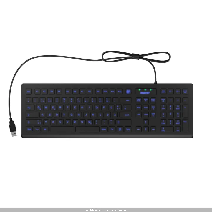 Keysonic KSK-8031INEL - Hygienische Industrietastatur Industrietastatur, USB, Beleuchtet, Silikon, schwarz, Wasser und Staub geschützt, Deutsch