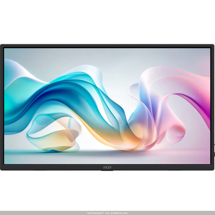 MSI PRO MP165DE E6 Tragbarer Monitor - 1920x1080 (FHD)