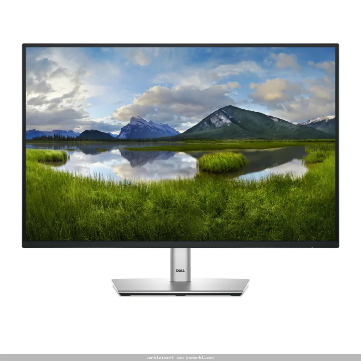 DELL P2425E Office Monitor IPS, 61,13 cm (24,07 Zoll), LED-Monitor, 1x HDMI, 2x DP, USB-Hub, 1x Ethernet