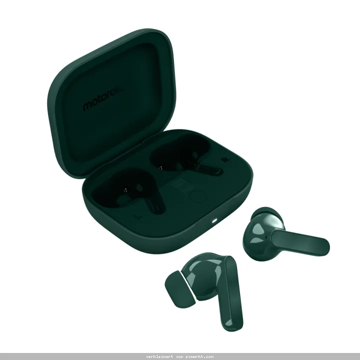 Motorola moto buds bass Posy Green